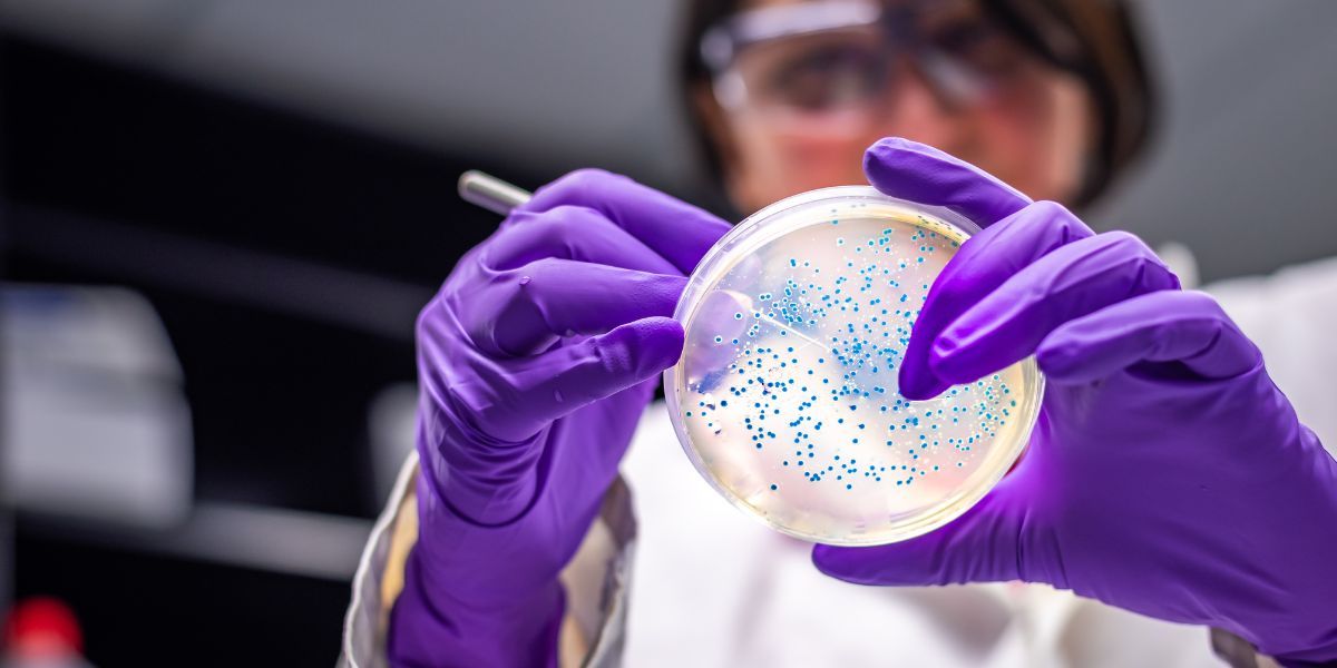 Trapianto di cellule staminali e PRP (Plasma Ricco di Piastrine): due approcci innovativi per il trattamento delle lesioni articolari e della degenerazione cartilaginea, inclusa l'artrosi